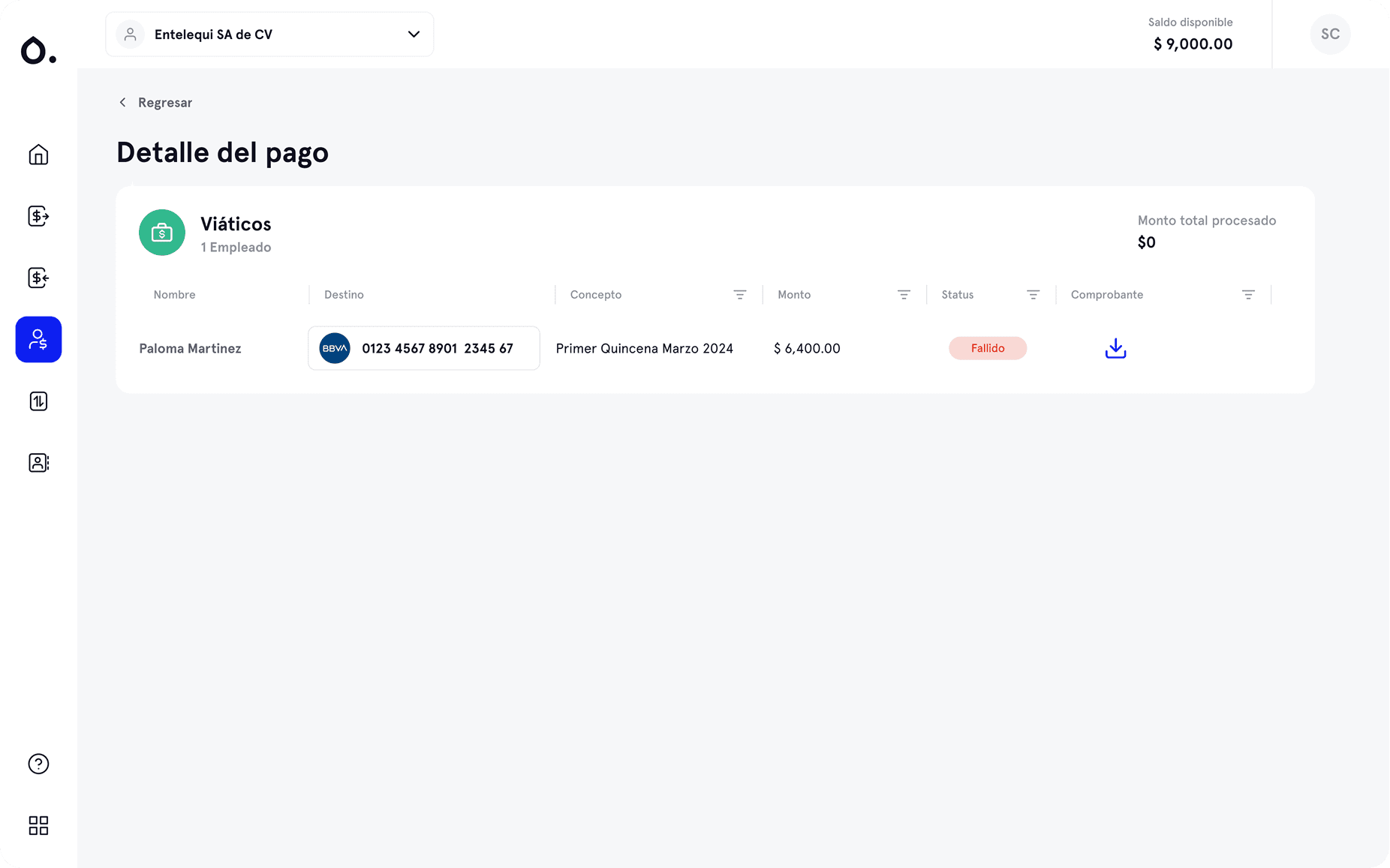 Payment detail view — full screen
